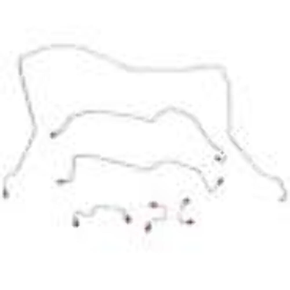 02-03 Durango RT, 4wd, Disc Brakes; Complete Brake Line Kit; S/S; CBK0096SS